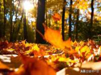 山西德音商贸有限公司