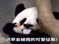 山西德音商贸有限公司