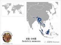 山西德音商贸有限公司