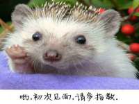 山西德音商贸有限公司