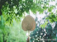 山西德音商贸有限公司