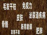 山西德音商贸有限公司