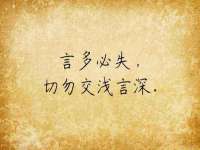 山西德音商贸有限公司