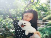 山西德音商贸有限公司