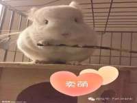 山西德音商贸有限公司