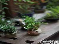山西德音商贸有限公司