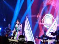 山西德音商贸有限公司