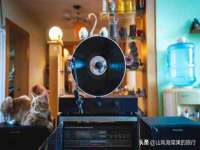山西德音商贸有限公司