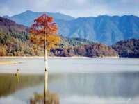 山西德音商贸有限公司