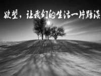 山西德音商贸有限公司
