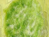 山西德音商贸有限公司