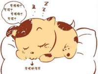 山西德音商贸有限公司