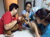 山西德音商贸有限公司