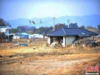 山西德音商贸有限公司