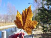 山西德音商贸有限公司